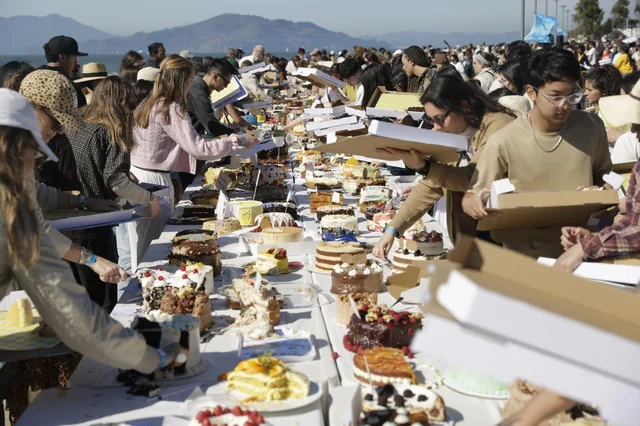 cake picnic started in s f as a small gathering of cake v0 9qSPFK96HUdU_IQZ7wGukPijB9eYVxIGjVYJM epWvk